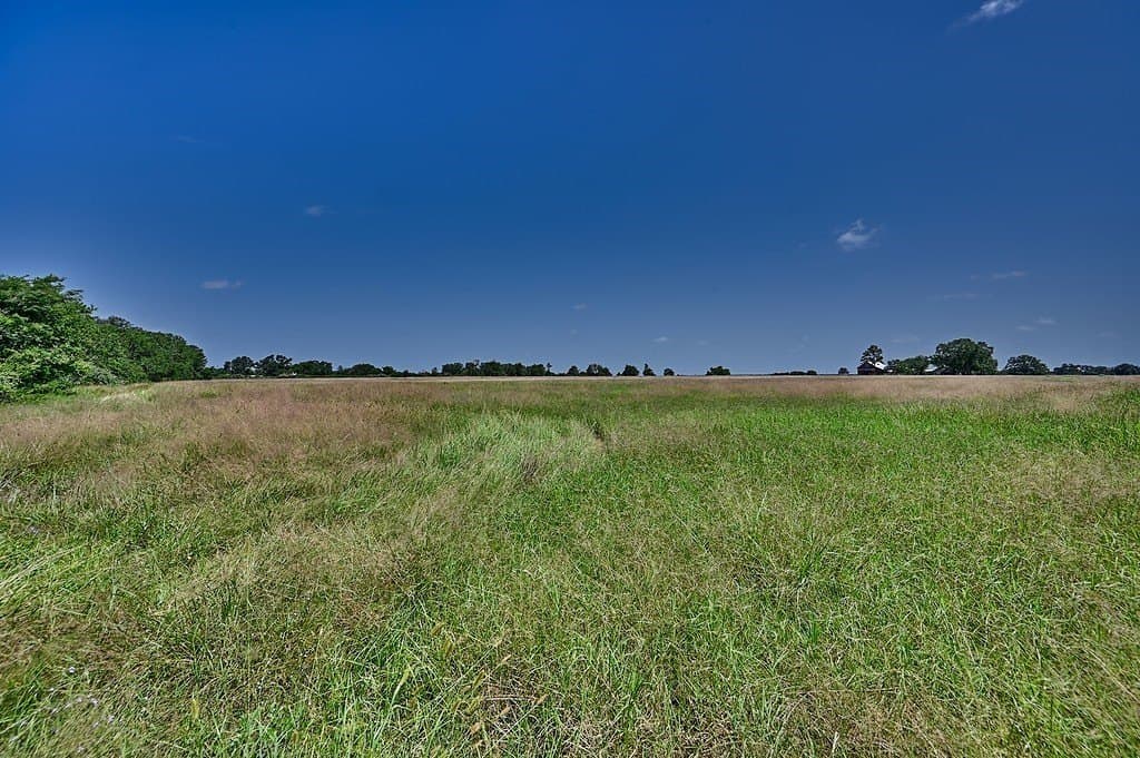 24.98 acres in Fayette County - photo 11