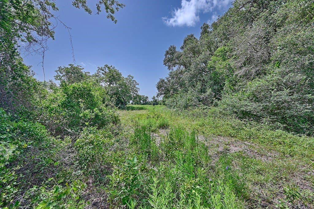 24.98 acres in Fayette County - photo 4