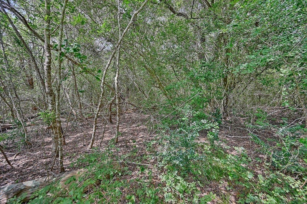 24.98 acres in Fayette County - photo 9