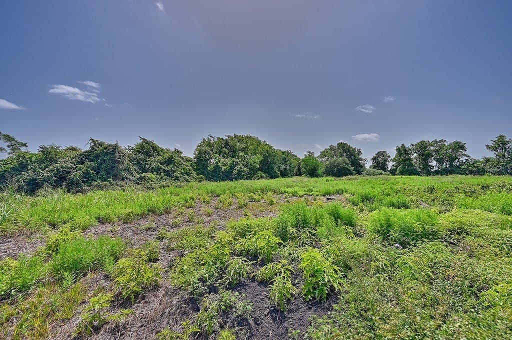 24.98 acres in Fayette County - photo 3