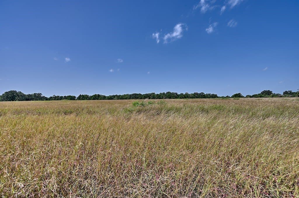 24.98 acres in Fayette County - photo 15