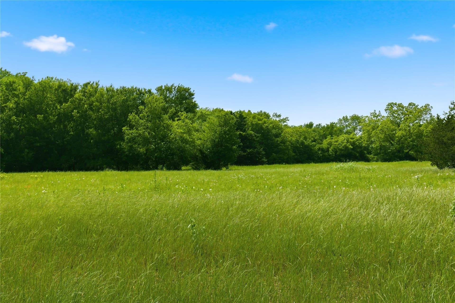 3.85 acres in Hunt County - photo 13