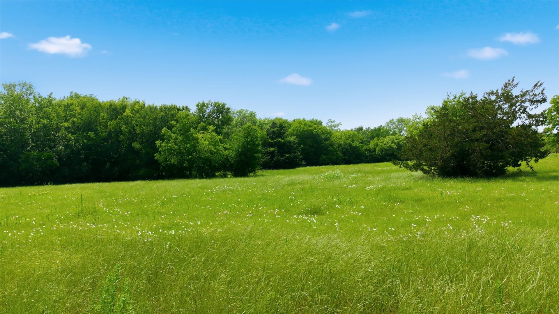 3.85 acres in Hunt County - photo 27