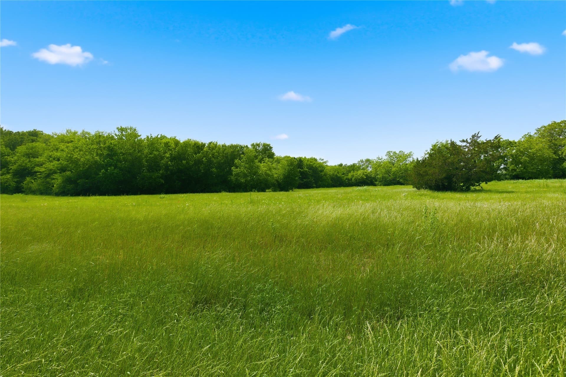 3.85 acres in Hunt County - photo 12