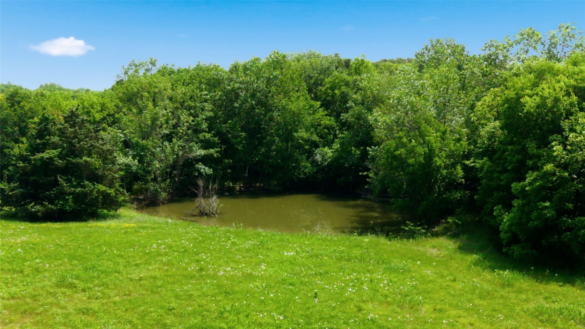 3.85 acres in Hunt County - photo 17
