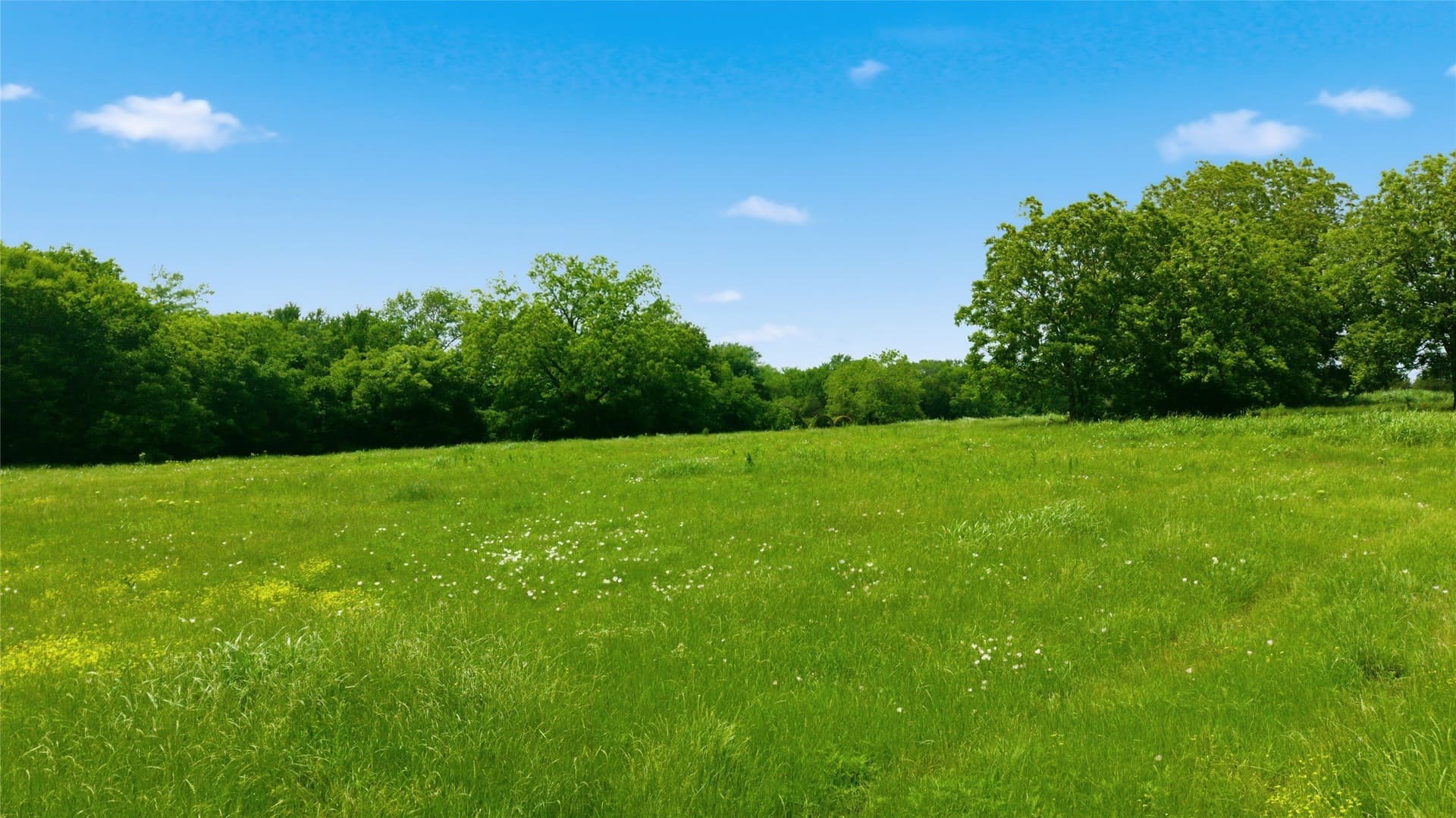 3.85 acres in Hunt County - photo 28