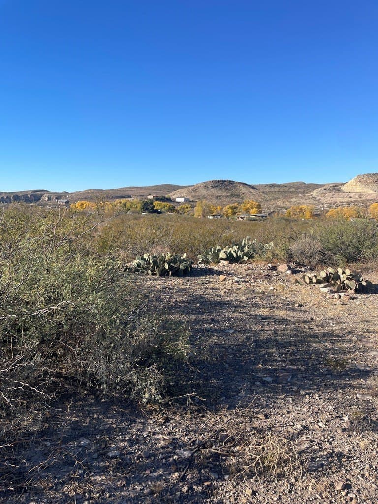 0.29 acres in Presidio County gallery image 3