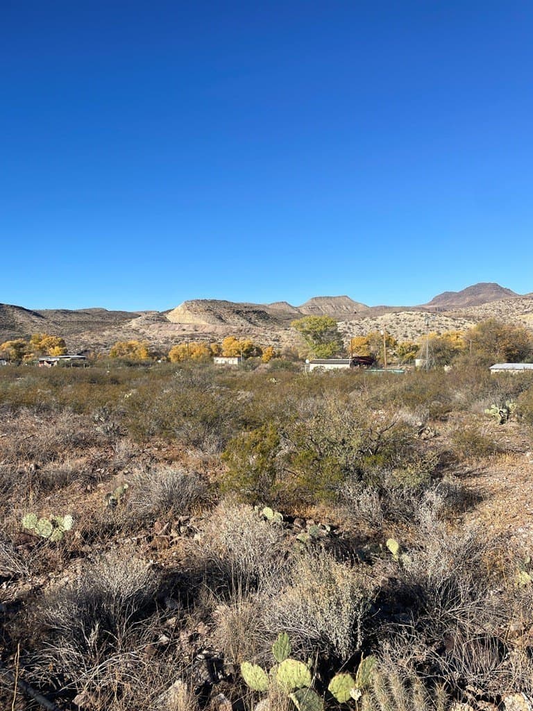 0.29 acres in Presidio County gallery image 2