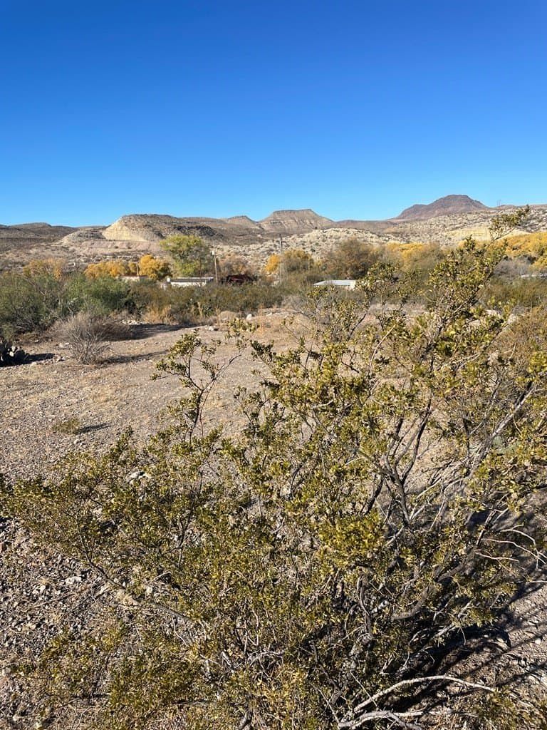 0.29 acres in Presidio County - photo 7