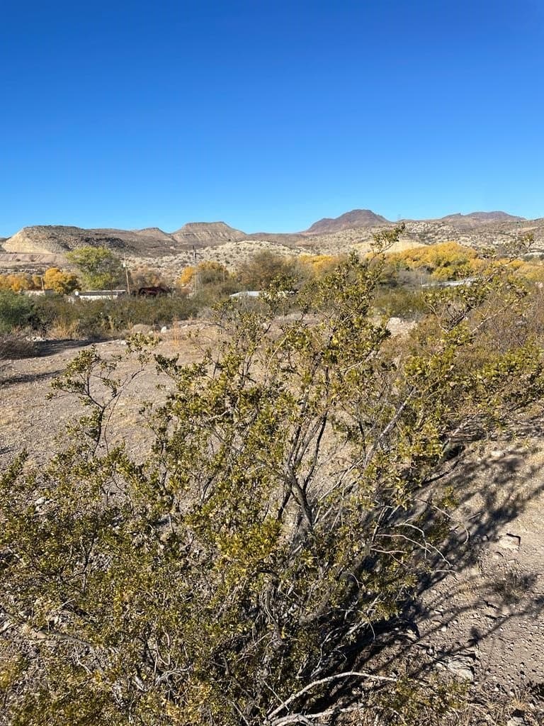 0.29 acres in Presidio County