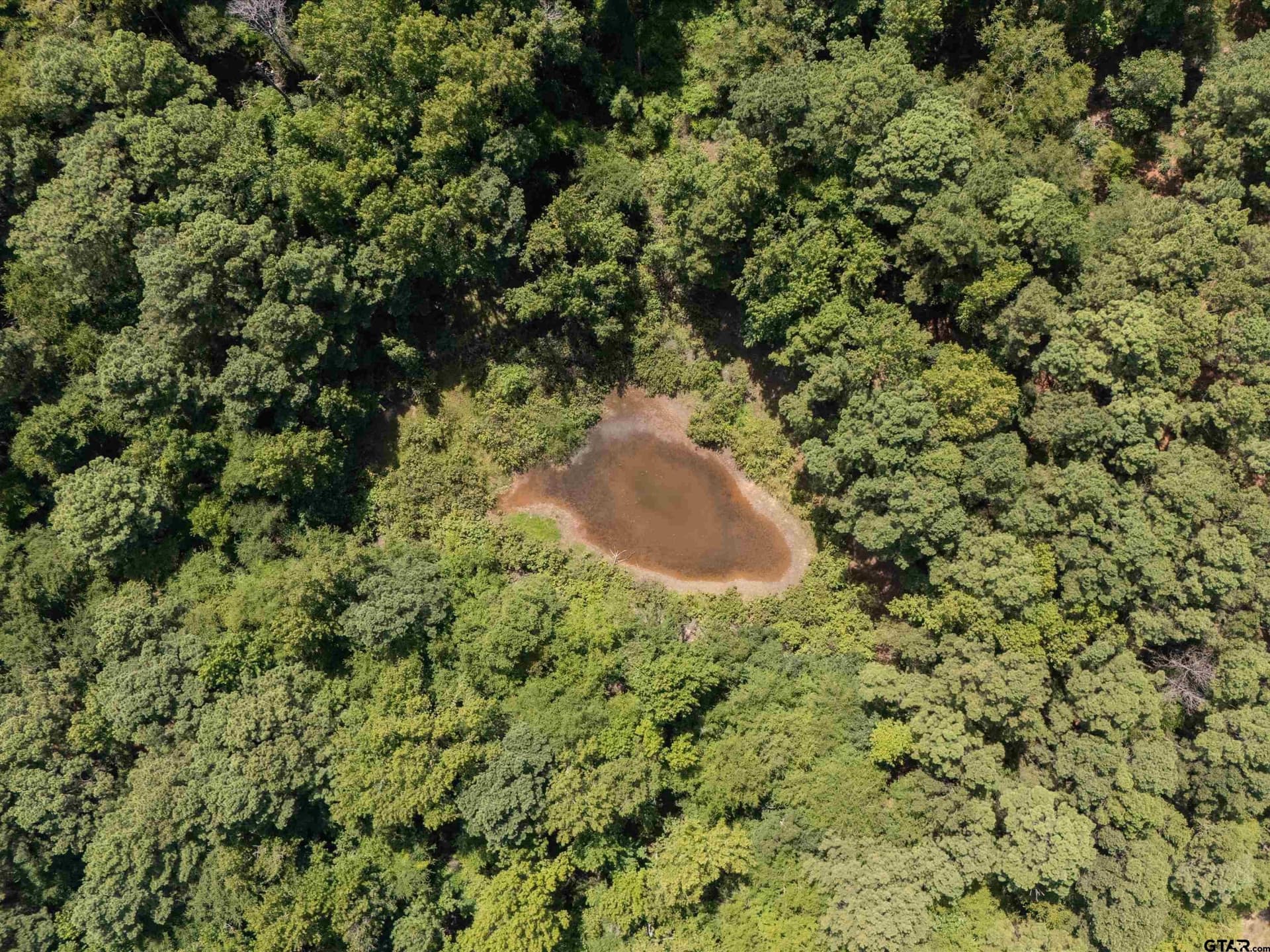 5.5 acres in Upshur County - photo 4