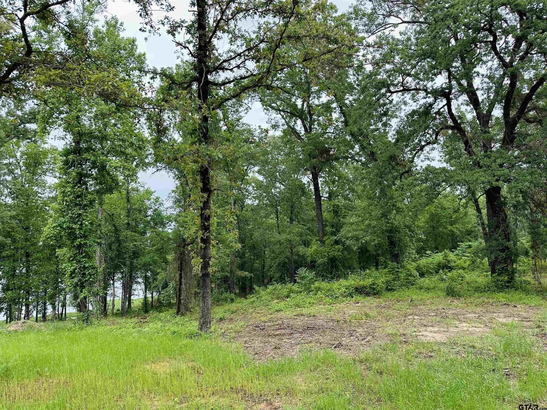1.45 acres in Upshur County gallery image 2