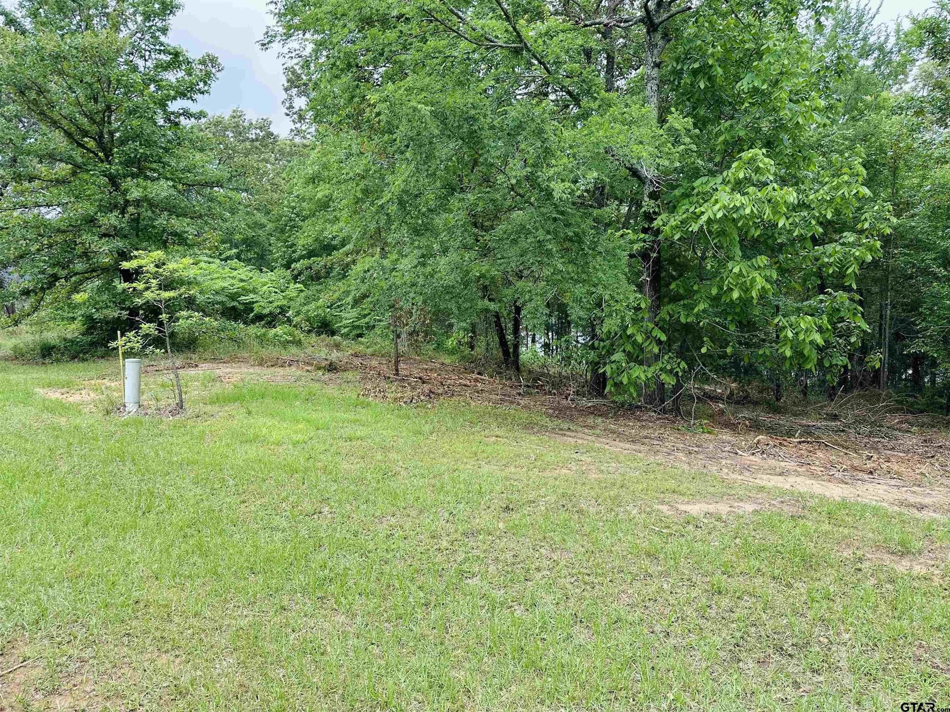 1.45 acres in Upshur County gallery image 3