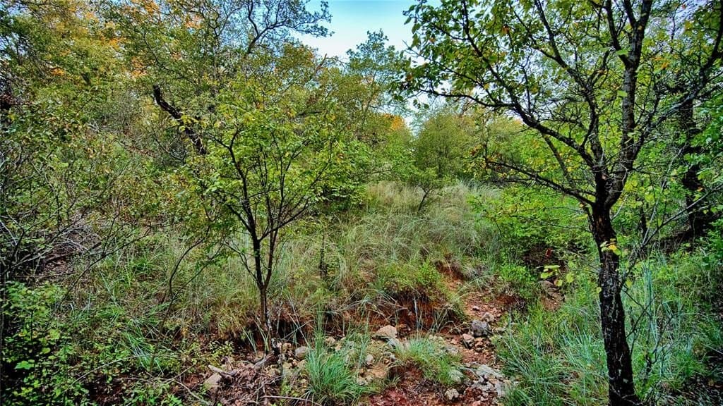 5.79 acres in Montague County featured view