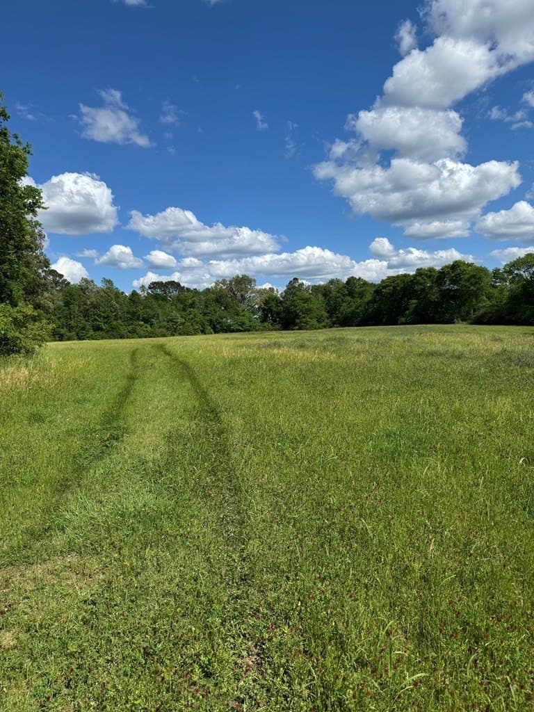 20 acres in Texas County gallery image 4