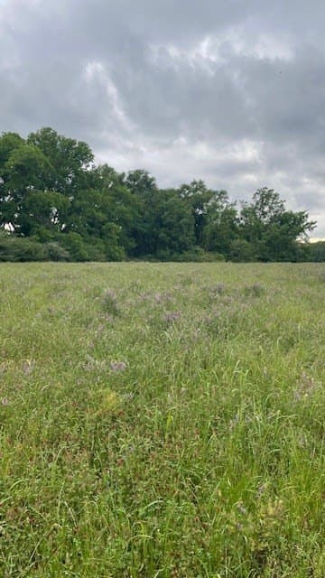 20 acres in Texas County featured view