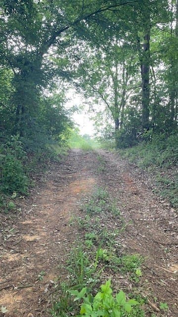 20 acres in Texas County gallery image 2