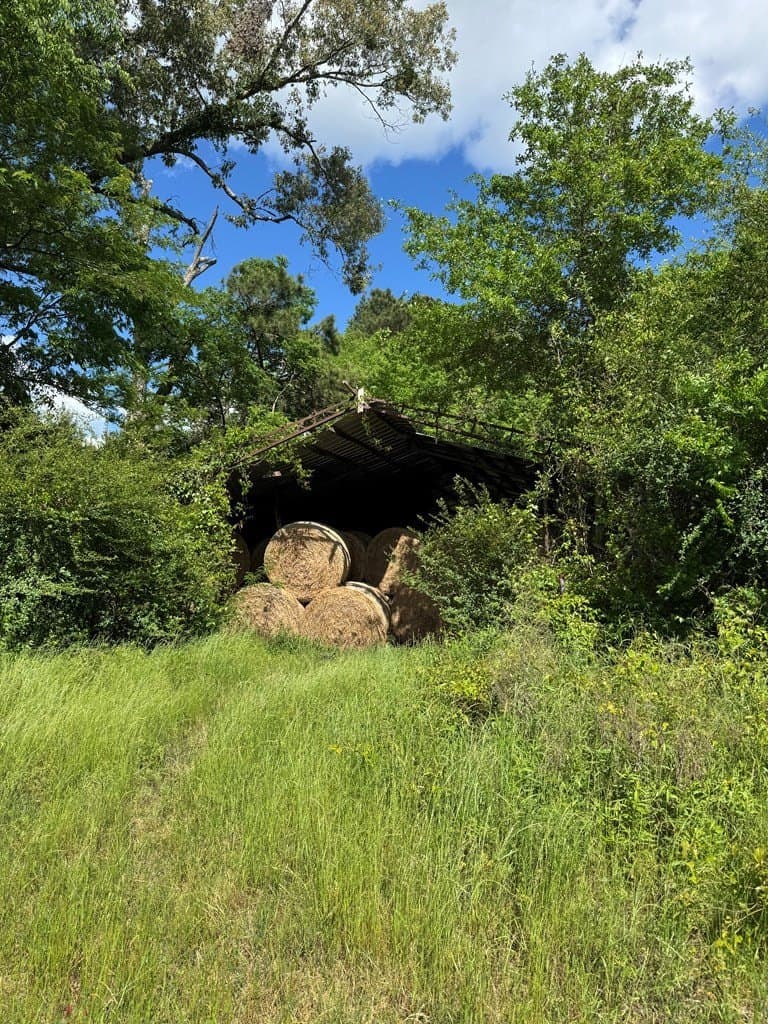 20 acres in Texas County gallery image 3