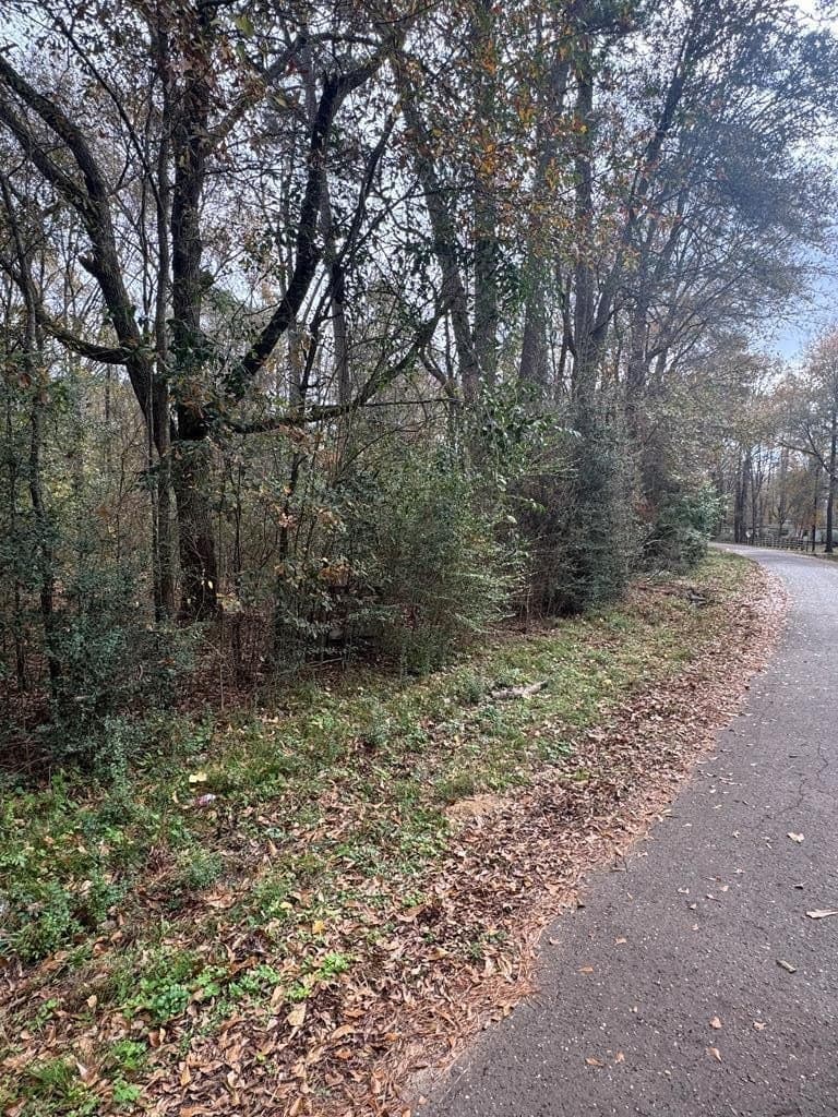 0.59 acres in Texas County - photo 6