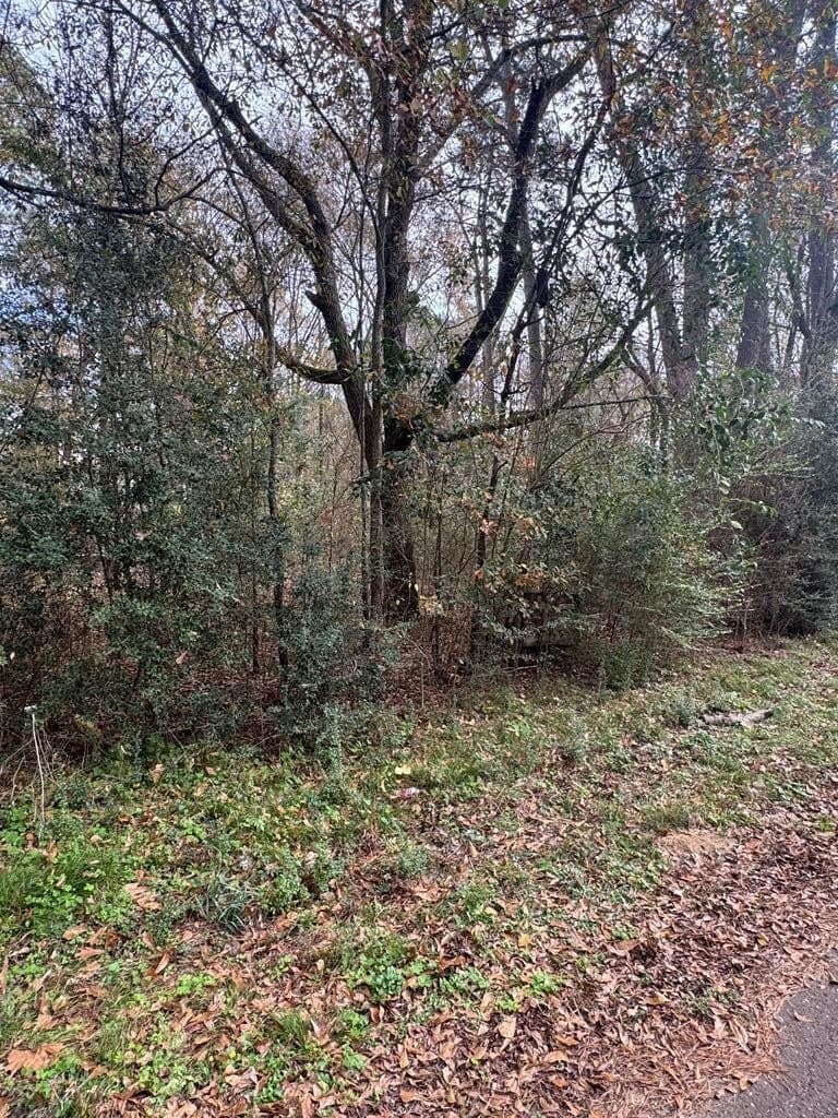 0.59 acres in Texas County - photo 8