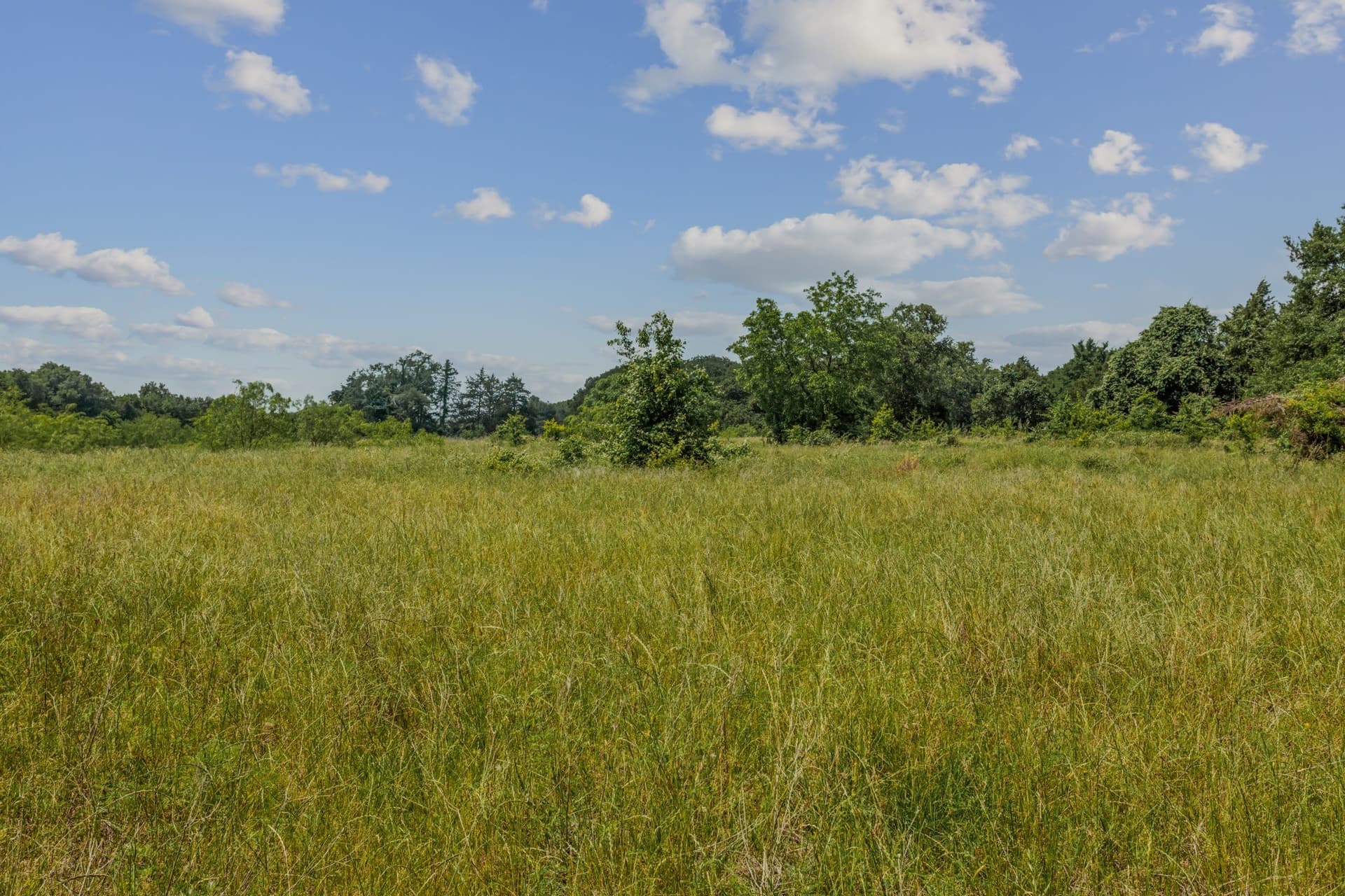 47.26 acres in Kaufman County - photo 23