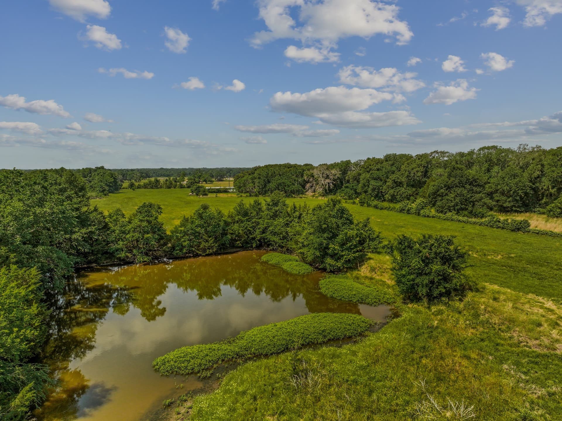 47.26 acres in Kaufman County gallery image 3