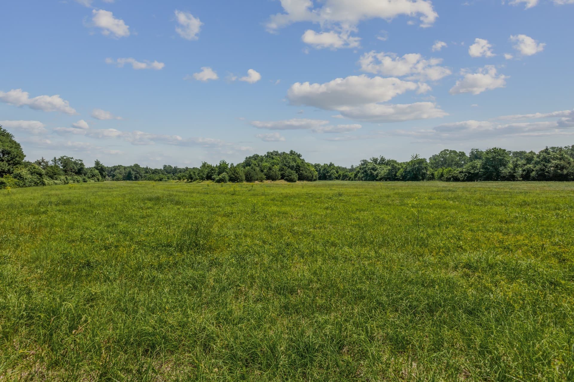 47.26 acres in Kaufman County - photo 10
