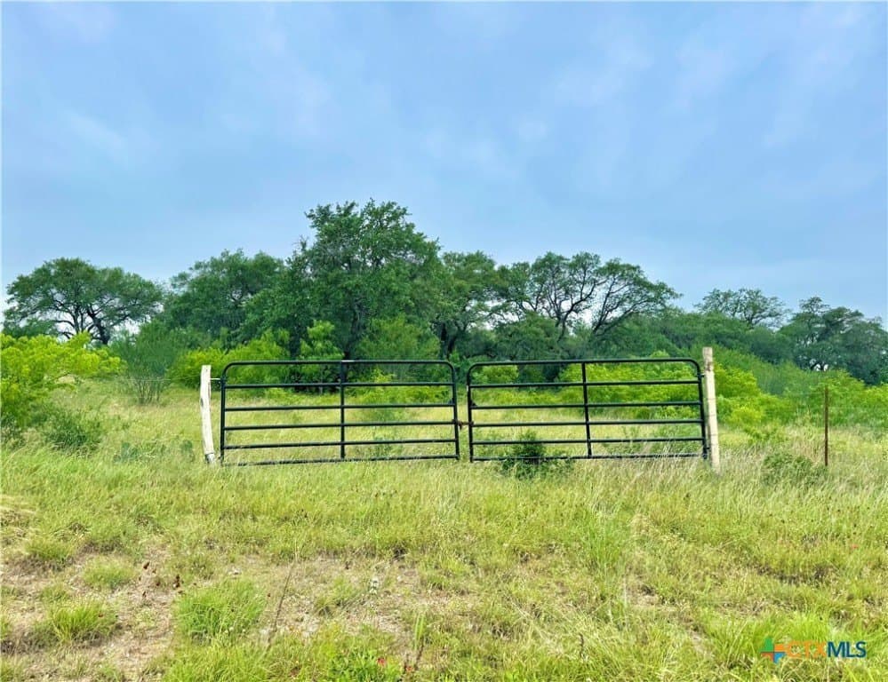 10.35 acres in Gonzales County gallery image 2