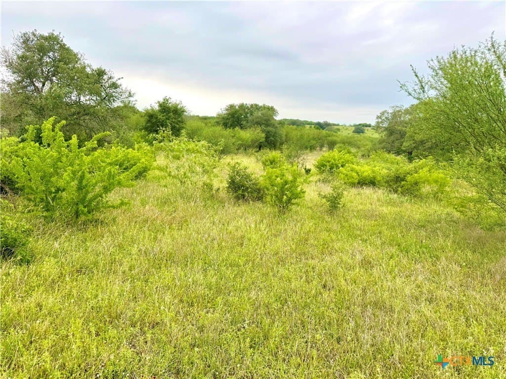 10.35 acres in Gonzales County featured view