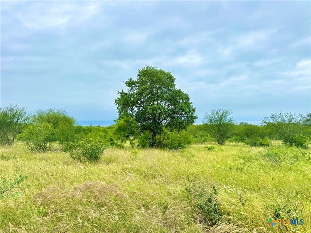 10.35 acres in Gonzales County gallery image 4