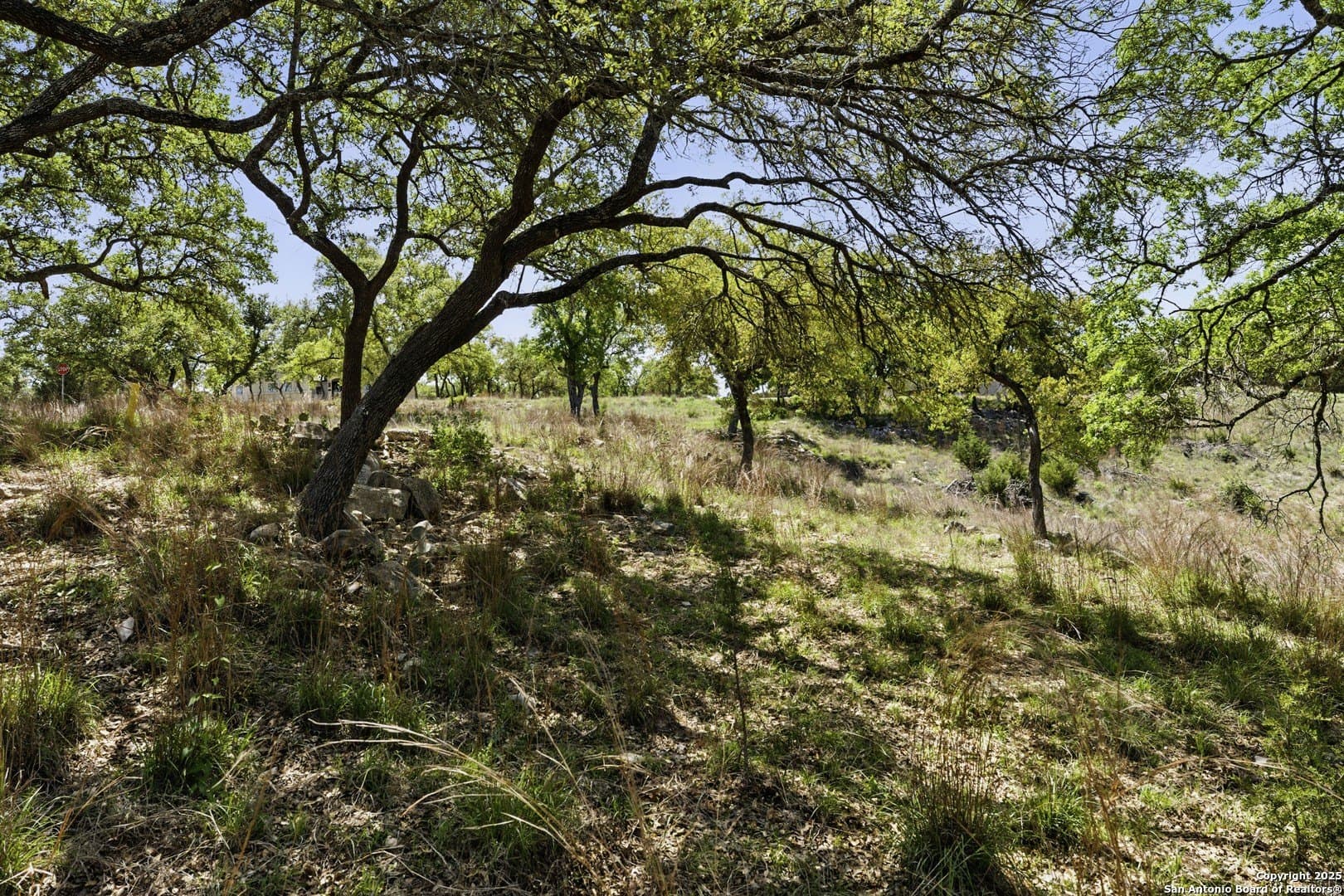 1.14 acres in Comal County - photo 5