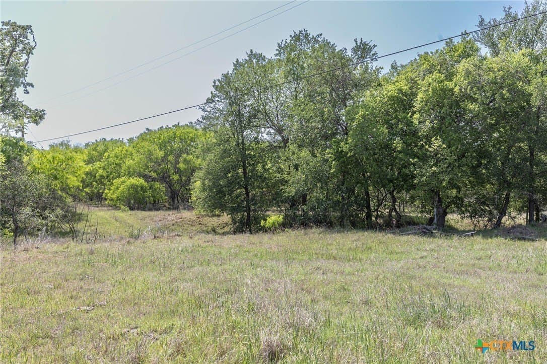35.36 acres in Guadalupe County gallery image 4