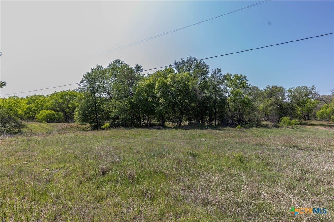 35.36 acres in Guadalupe County gallery image 3