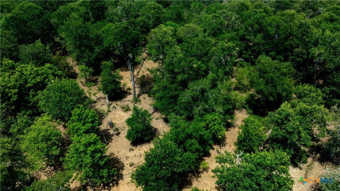 20 acres in Caldwell County - photo 19