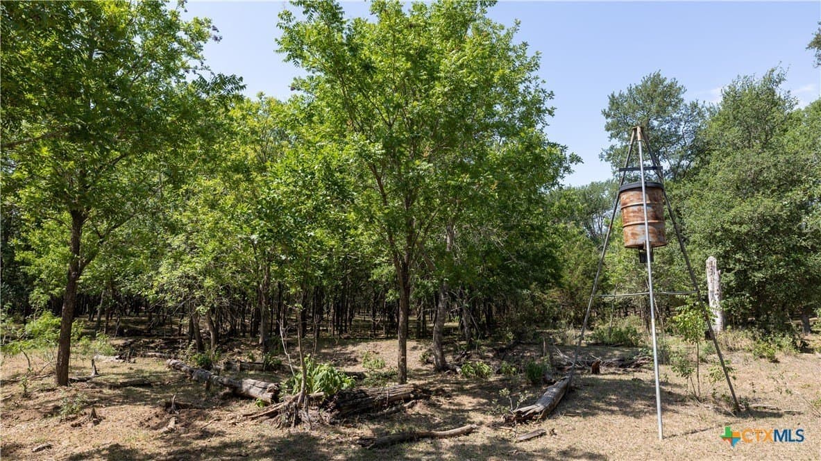 20 acres in Caldwell County - photo 32
