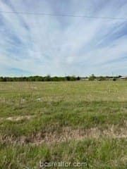 1.01 acres in Brazos County - photo 3