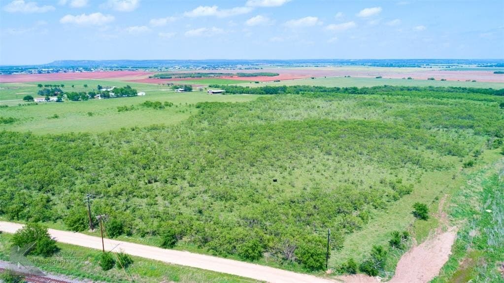 92.46 acres in Taylor County gallery image 4