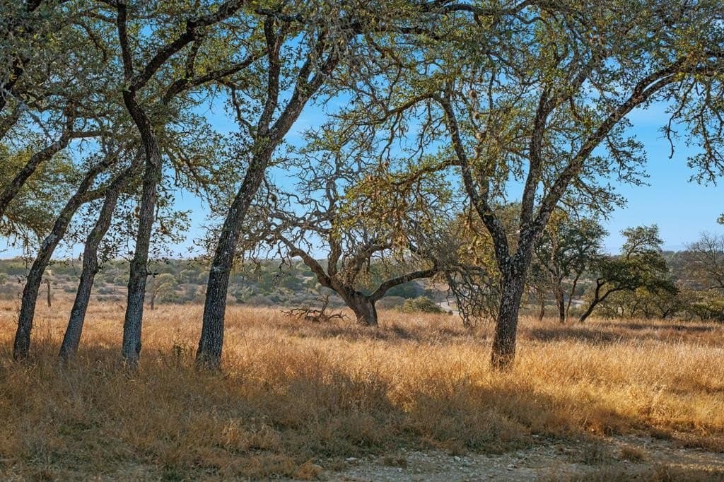 60.69 acres in Kerr County - photo 47