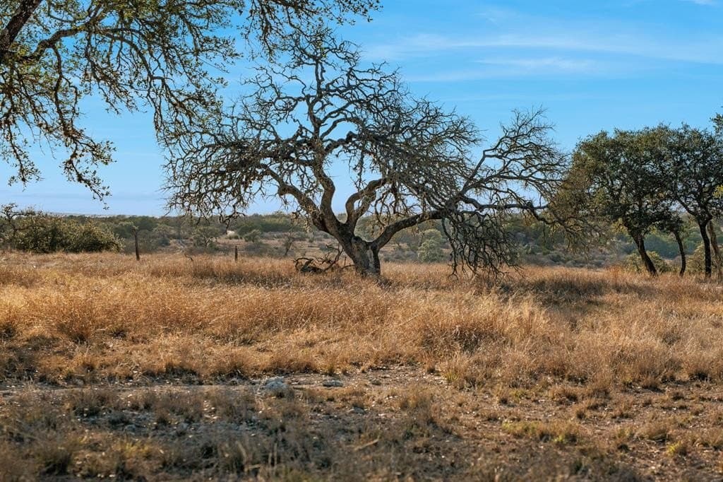 60.69 acres in Kerr County - photo 48