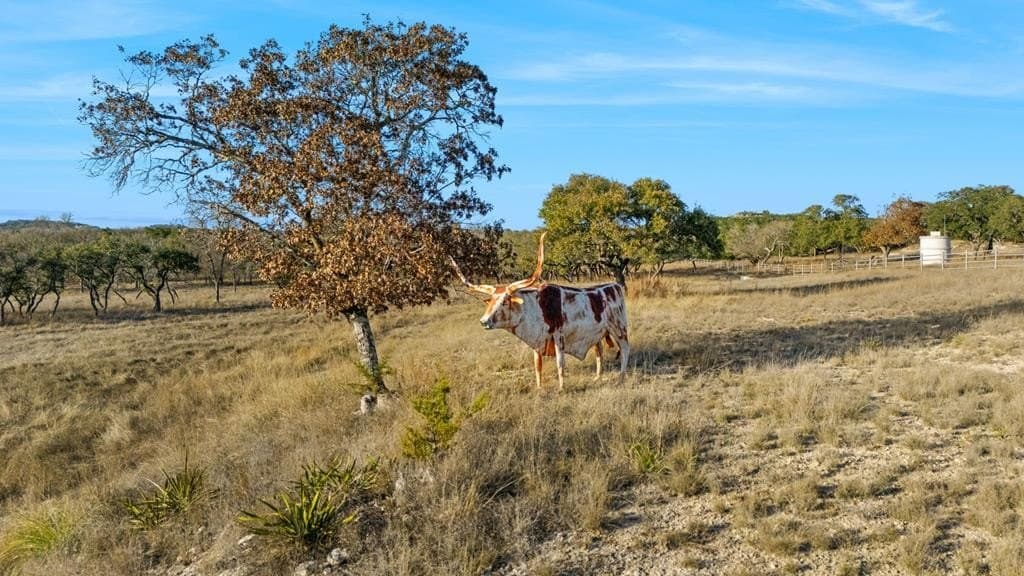 60.69 acres in Kerr County - photo 64