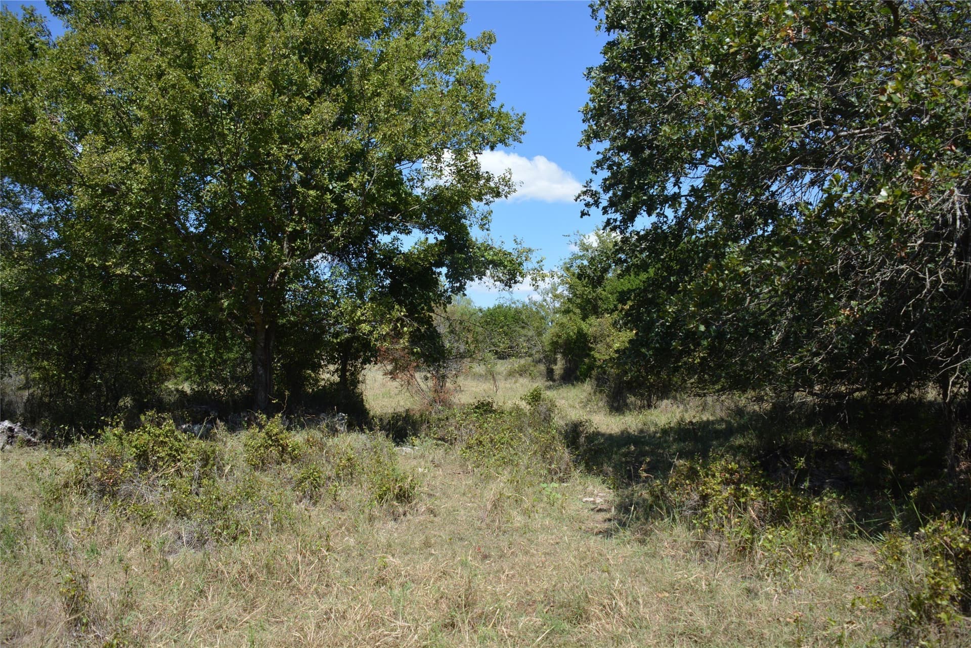 90 acres in Mills County - photo 25