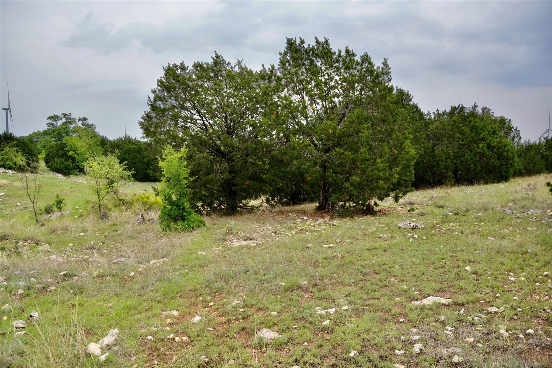 90 acres in Mills County - photo 17