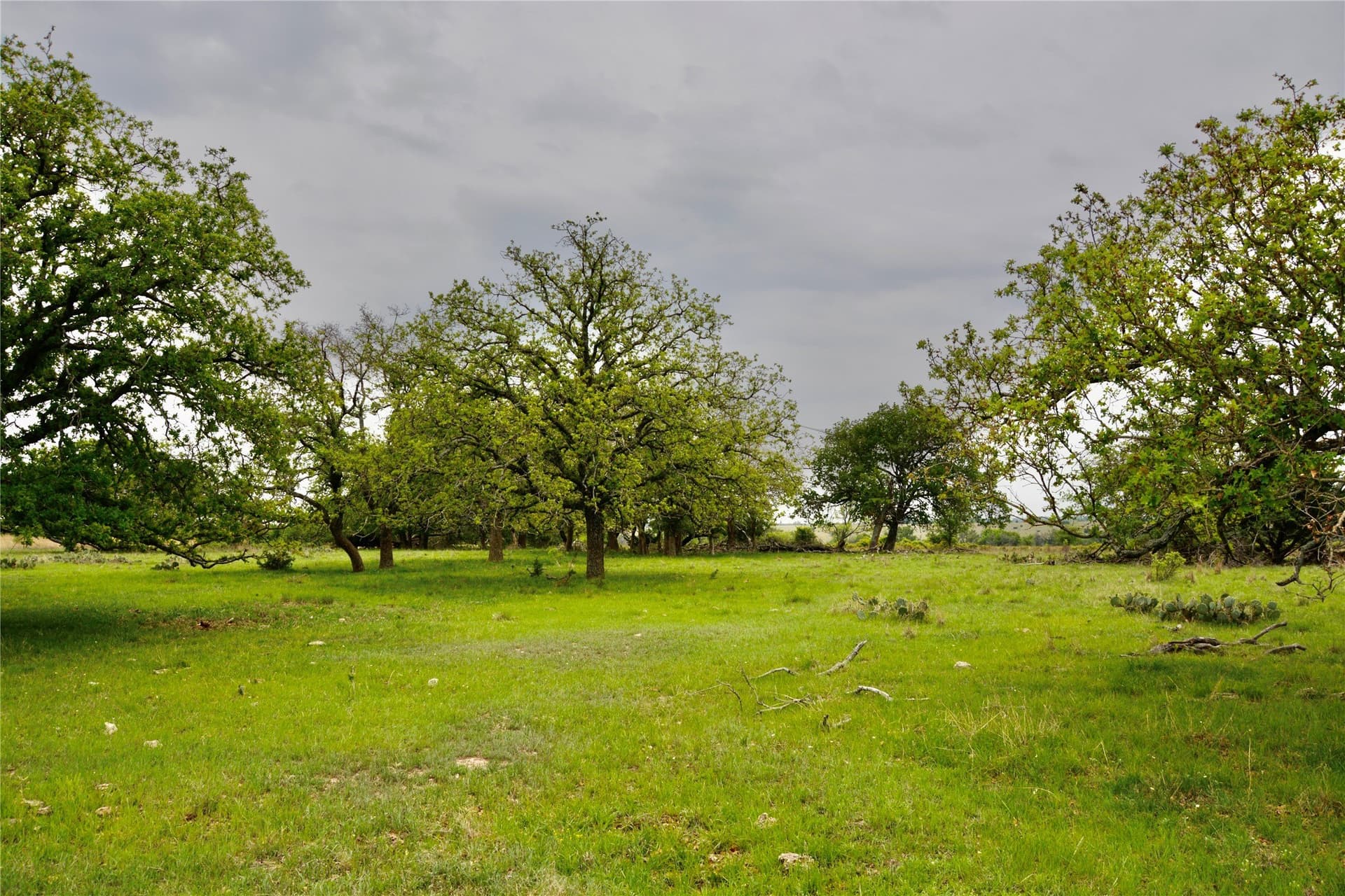 90 acres in Mills County