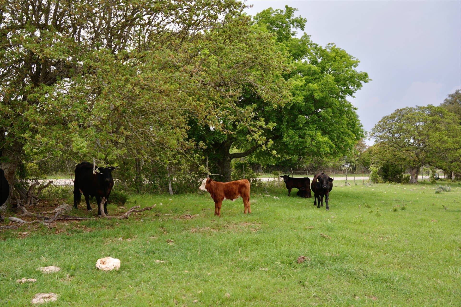90 acres in Mills County - photo 6