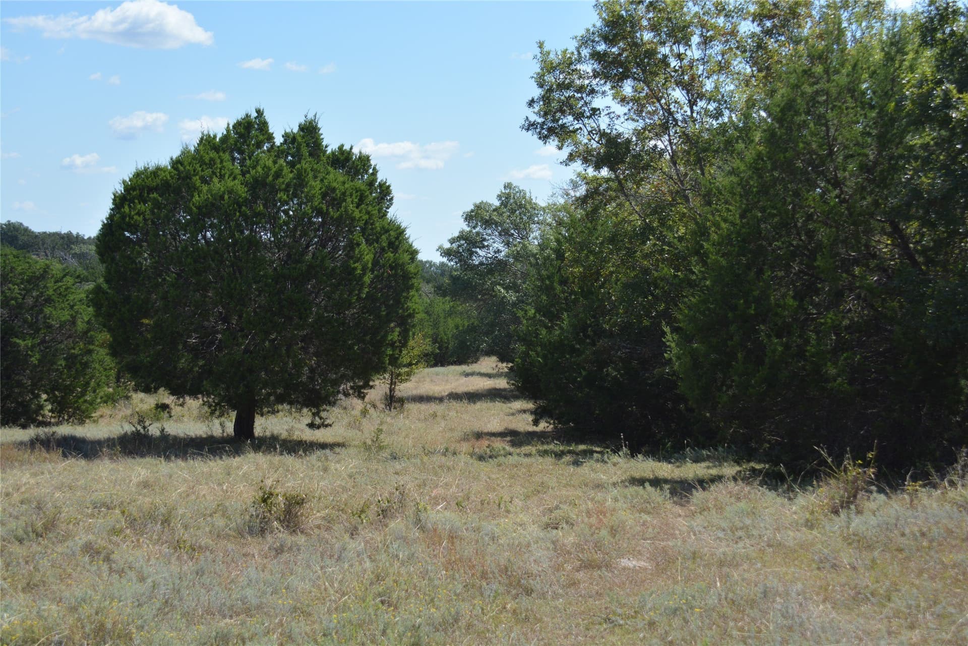 90 acres in Mills County - photo 22