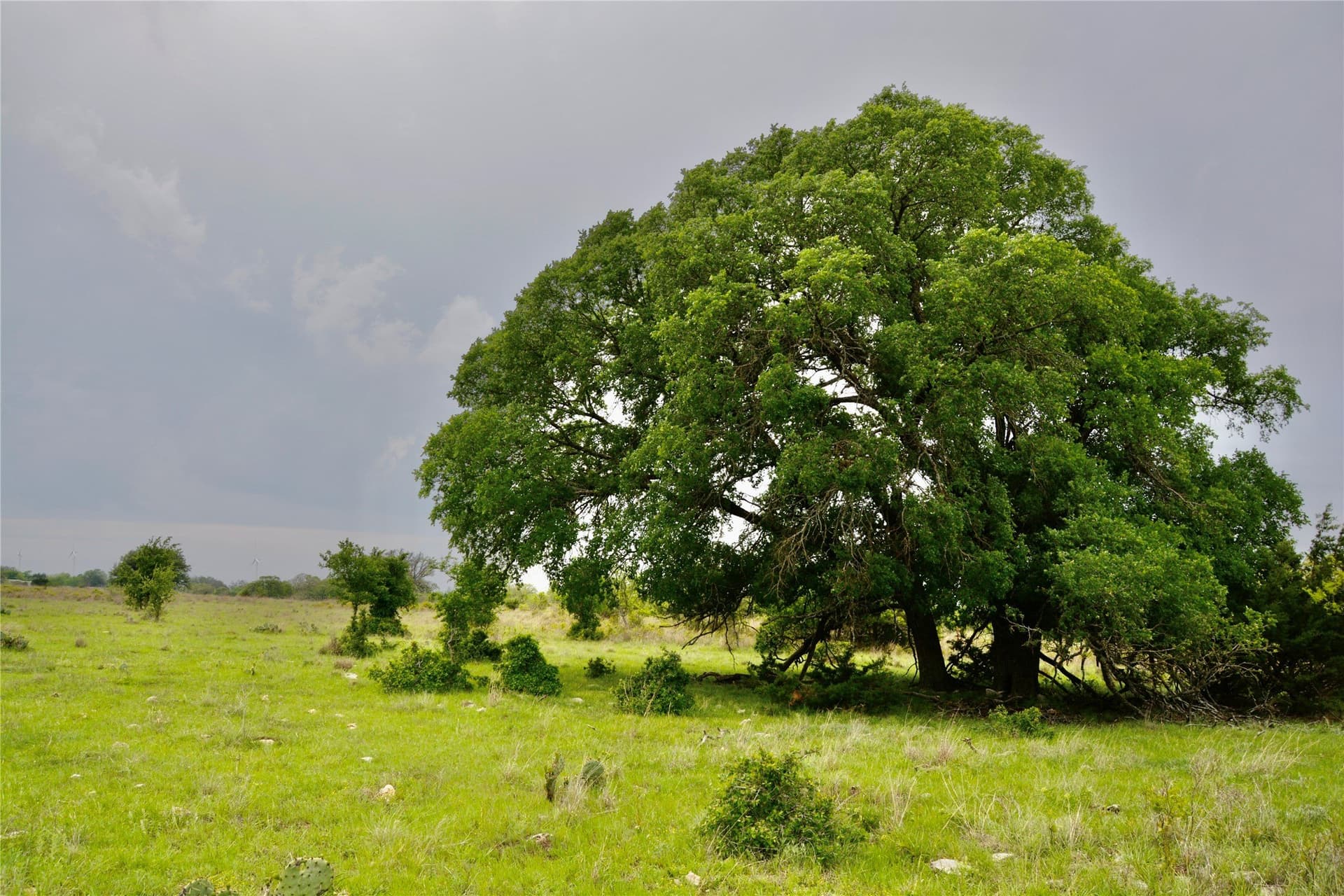 90 acres in Mills County - photo 7