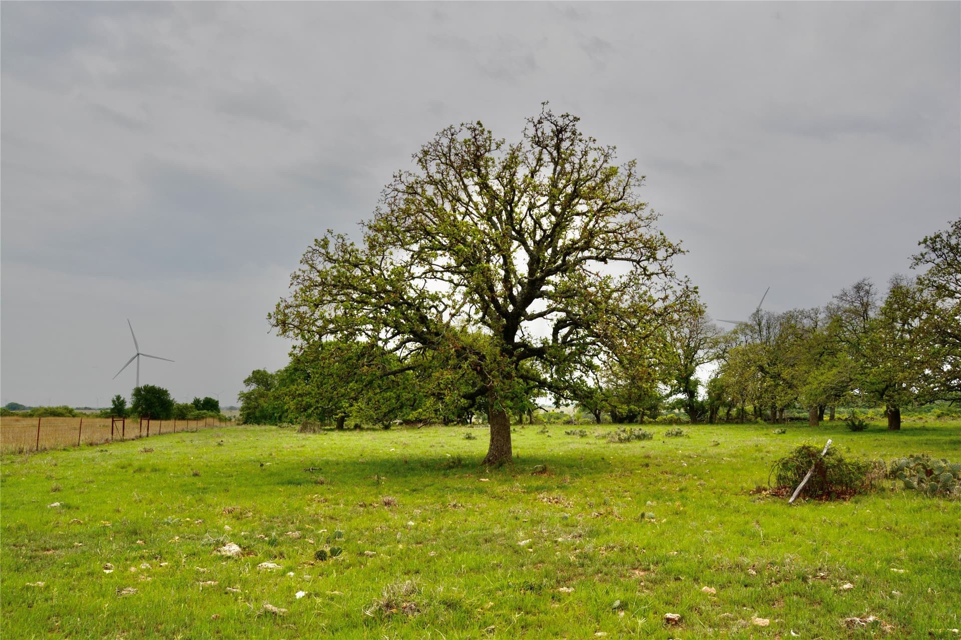 90 acres in Mills County - photo 2