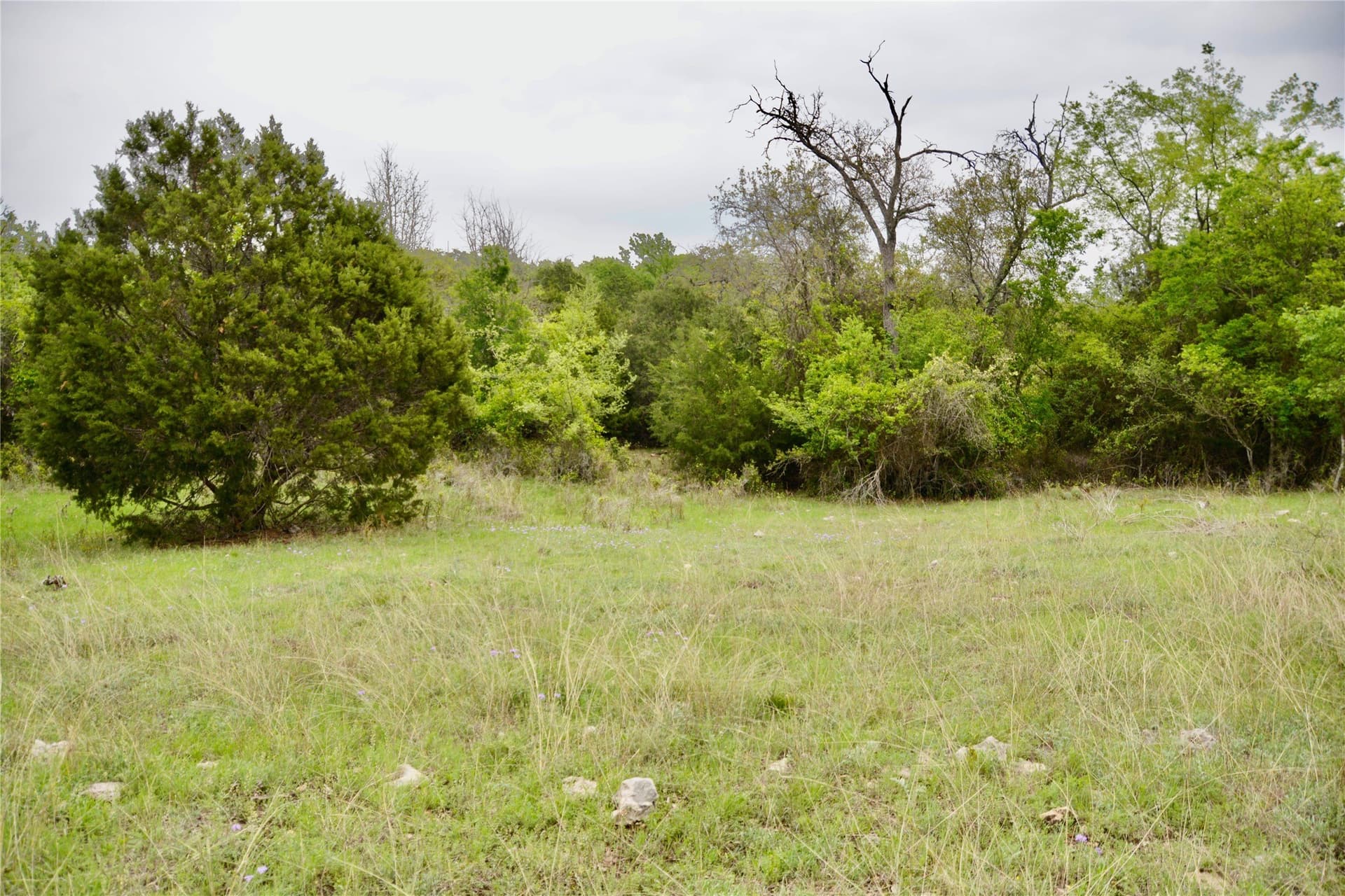 90 acres in Mills County - photo 18