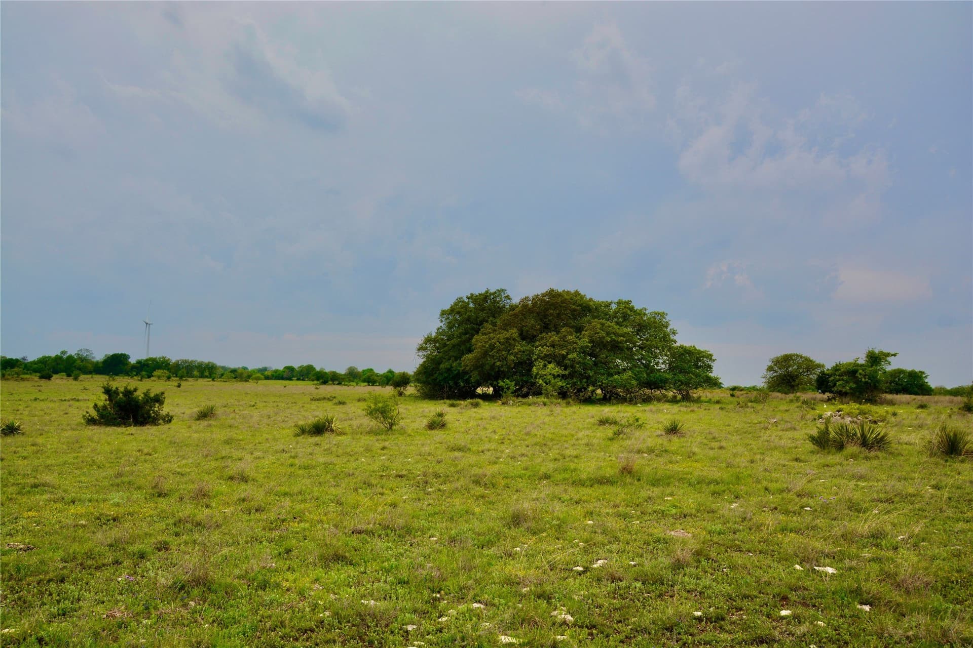 90 acres in Mills County - photo 9