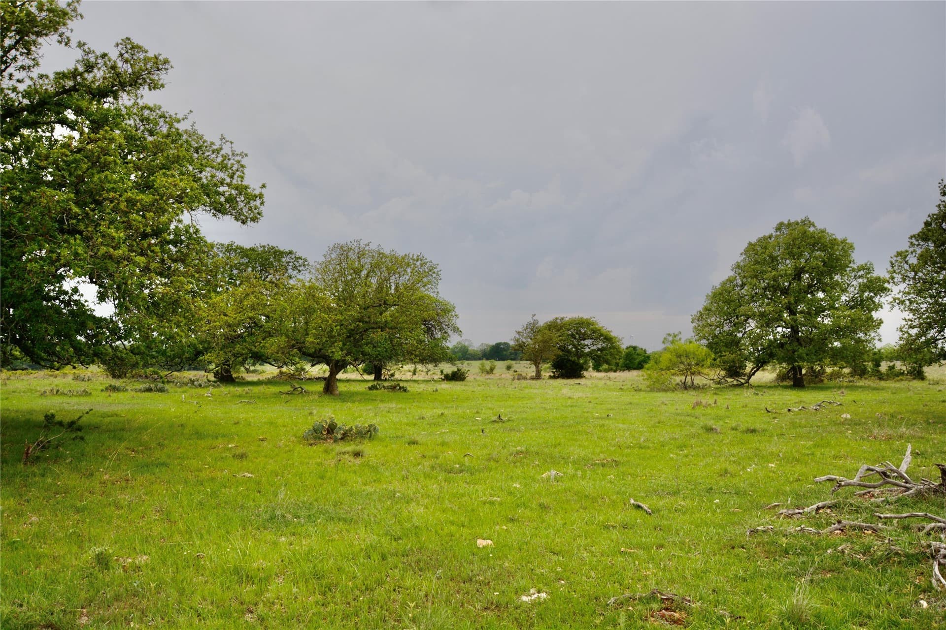 90 acres in Mills County - photo 12
